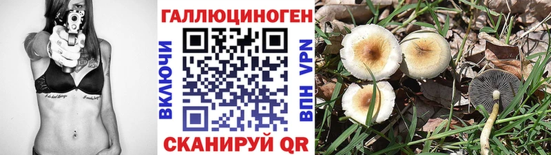 Купить  Североуральск  Псилоцибиновые грибы GOLDEN TEACHER 
